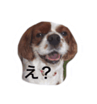 くうとまめ（個別スタンプ：13）