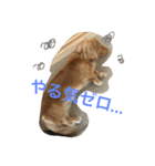 ダックスのプリンくん（個別スタンプ：2）