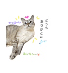 いやしのりんたろう（個別スタンプ：1）