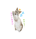 いやしのりんたろう（個別スタンプ：2）