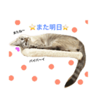 いやしのりんたろう（個別スタンプ：5）
