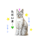 いやしのりんたろう（個別スタンプ：7）