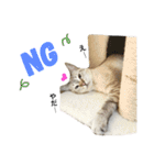 いやしのりんたろう（個別スタンプ：10）