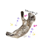 いやしのりんたろう（個別スタンプ：15）