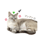 いやしのりんたろう（個別スタンプ：16）