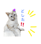 いやしのりんたろう（個別スタンプ：17）