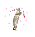 いやしのりんたろう（個別スタンプ：21）