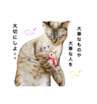 いやしのりんたろう（個別スタンプ：31）