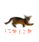 飛べ飛べアンジー16スタンプ（個別スタンプ：4）