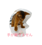 飛べ飛べアンジー16スタンプ（個別スタンプ：8）