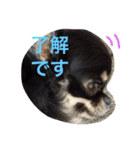 ぼく「ゆに」2（個別スタンプ：2）