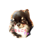 ぼく「ゆに」2（個別スタンプ：8）