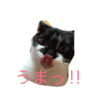 バルくんとたぁーこ（個別スタンプ：1）