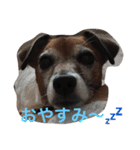 バルくんとたぁーこ（個別スタンプ：10）