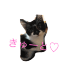 バルくんとたぁーこ（個別スタンプ：11）