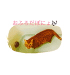 靴下を履いた猫（個別スタンプ：2）