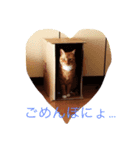 靴下を履いた猫（個別スタンプ：7）