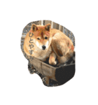 気ままに行こうよ（個別スタンプ：1）