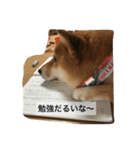 気ままに行こうよ（個別スタンプ：6）