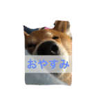 気ままに行こうよ（個別スタンプ：8）