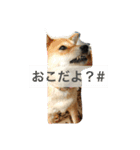 気ままに行こうよ（個別スタンプ：9）