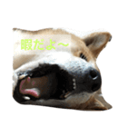 気ままに行こうよ（個別スタンプ：10）