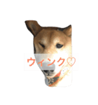 気ままに行こうよ（個別スタンプ：13）