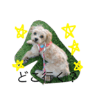 ももたんスタンプ（個別スタンプ：3）