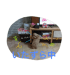 ももたんスタンプ（個別スタンプ：9）