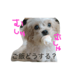 ももたんスタンプ（個別スタンプ：11）