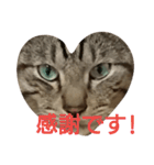 よく使える言葉たち。（個別スタンプ：2）