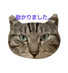 よく使える言葉たち。（個別スタンプ：6）