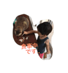 id EkE（個別スタンプ：13）