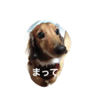 id EkE（個別スタンプ：21）