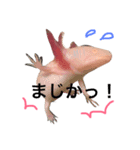 ウパルパ三昧（個別スタンプ：1）