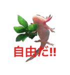 ウパルパ三昧（個別スタンプ：6）