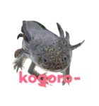 ウパルパ三昧（個別スタンプ：7）