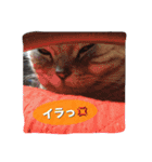 ーネコー（個別スタンプ：8）