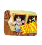 チビ助3（個別スタンプ：11）