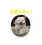 ウチの仲間たち（個別スタンプ：5）