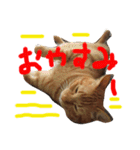 きな子の気持ち（個別スタンプ：3）
