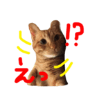 きな子の気持ち（個別スタンプ：6）