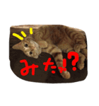 きな子の気持ち（個別スタンプ：9）