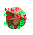 きな子の気持ち（個別スタンプ：11）