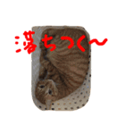 きな子の気持ち（個別スタンプ：12）