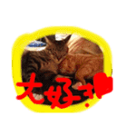 きな子の気持ち（個別スタンプ：14）