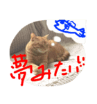 きな子の気持ち（個別スタンプ：15）