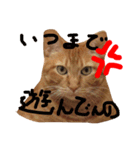 きな子の気持ち（個別スタンプ：16）