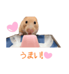 我が家のハムちゃんず（個別スタンプ：14）