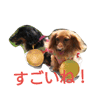 のほほん我が家のワンコたち（個別スタンプ：27）